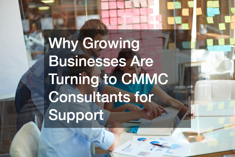 Why Growing Businesses Are Turning to CMMC Consultants for Support