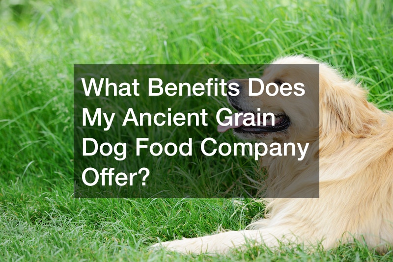 What Benefits Does My Ancient Grain Dog Food Company Offer Business 
