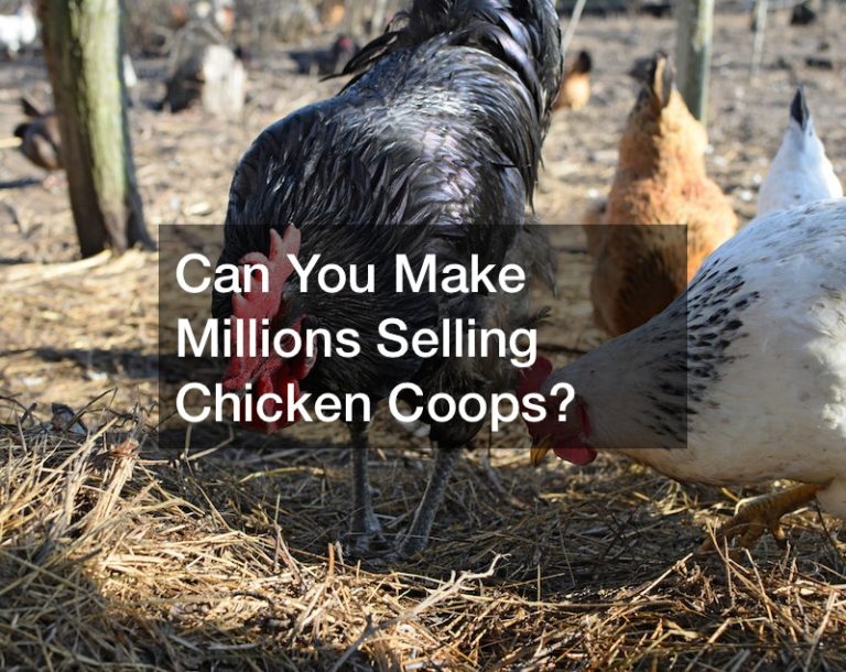 Can You Make Millions Selling Chicken Coops? Business  Club